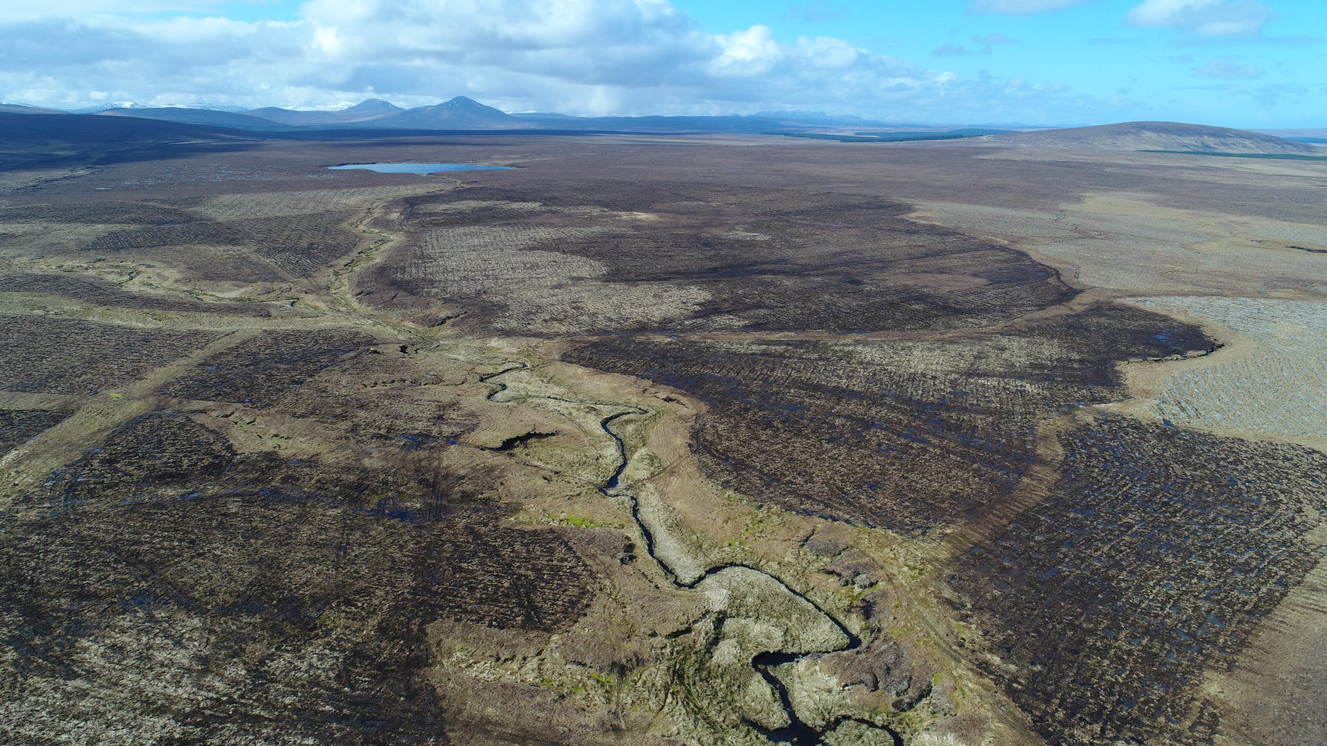 Forsinard Flows Peatland Restoration Paul Turner RSPB