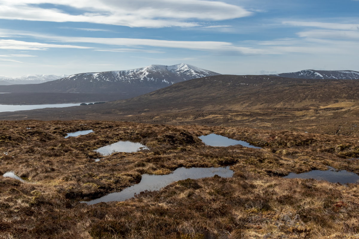 Healthy Peatland Pools Fannich