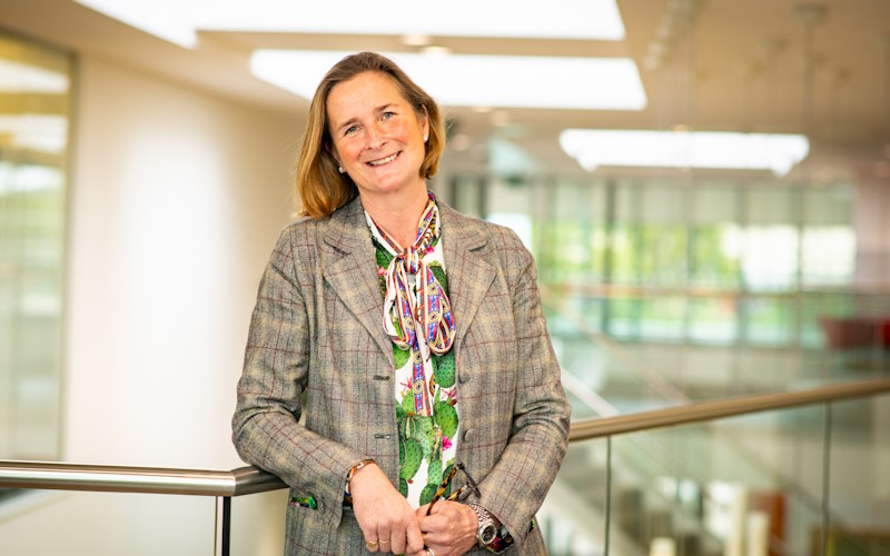 Melanie Collett 800 300